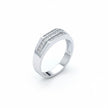 Architectural Triple-Line Statement Band